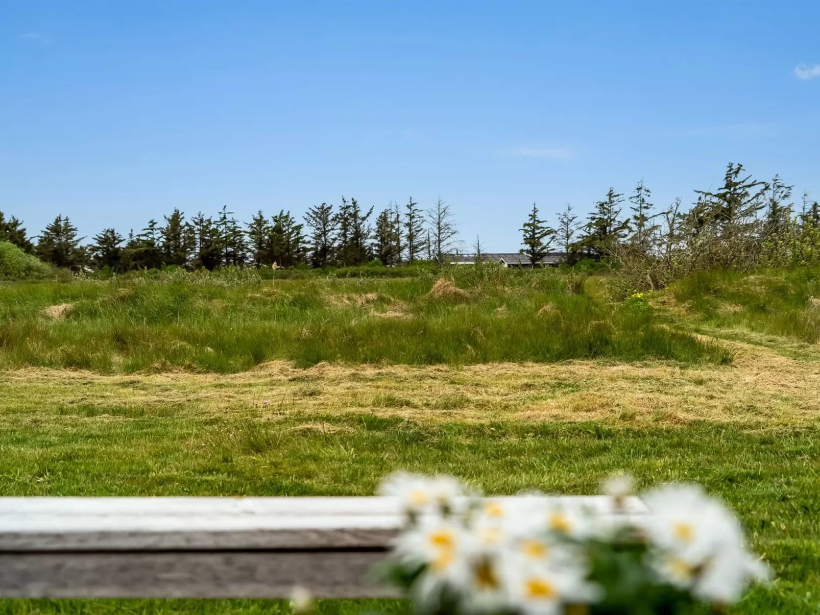 "Tera" - 600m from the sea-Dehors