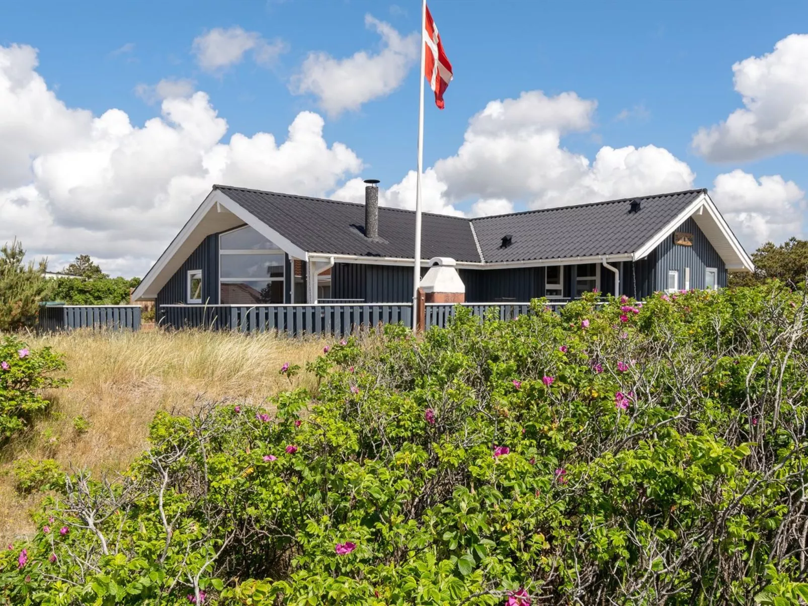 "Freek" - 400m from the sea-Outside