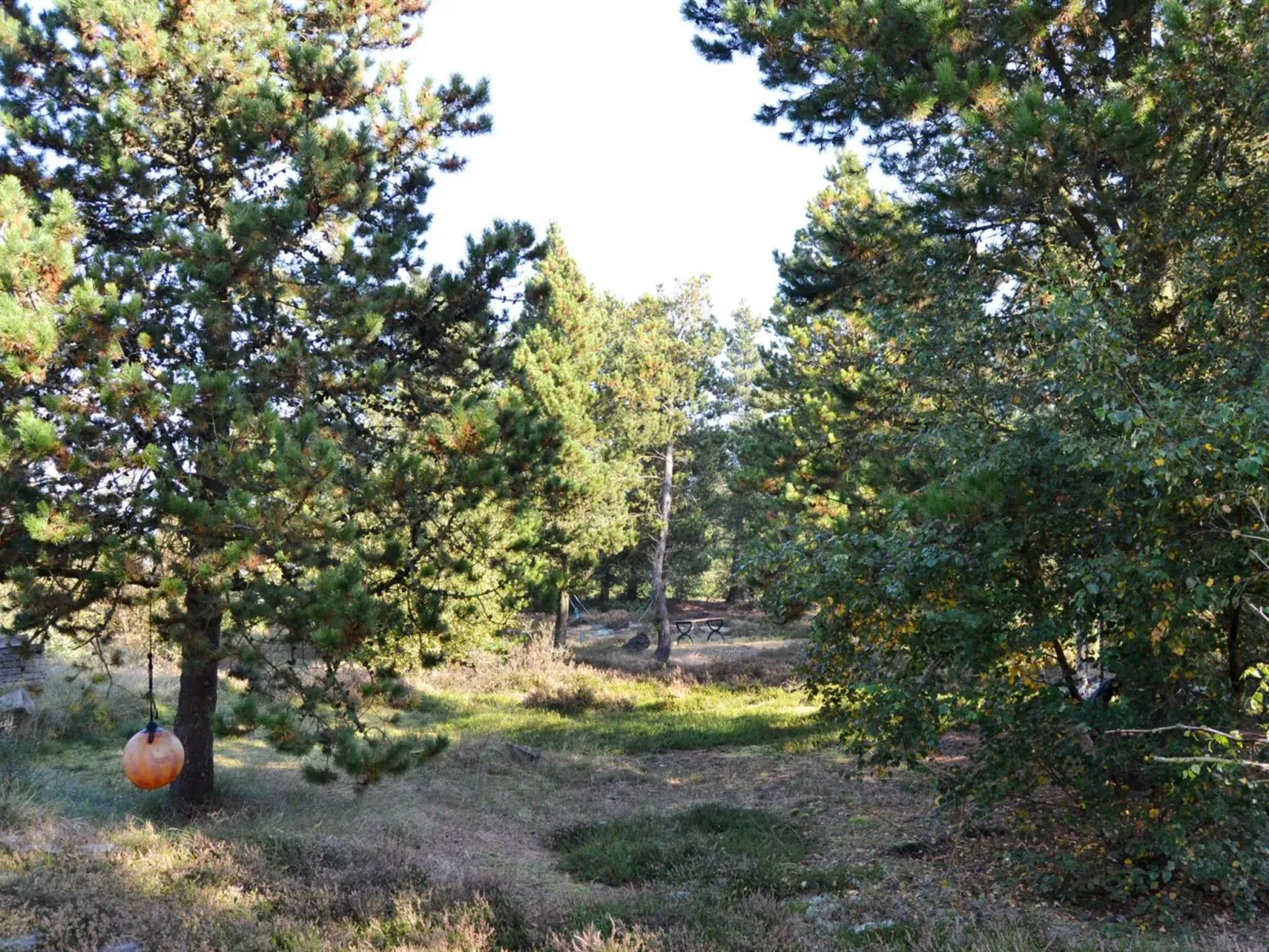 "Christian" - 3.5km from the sea-Draußen