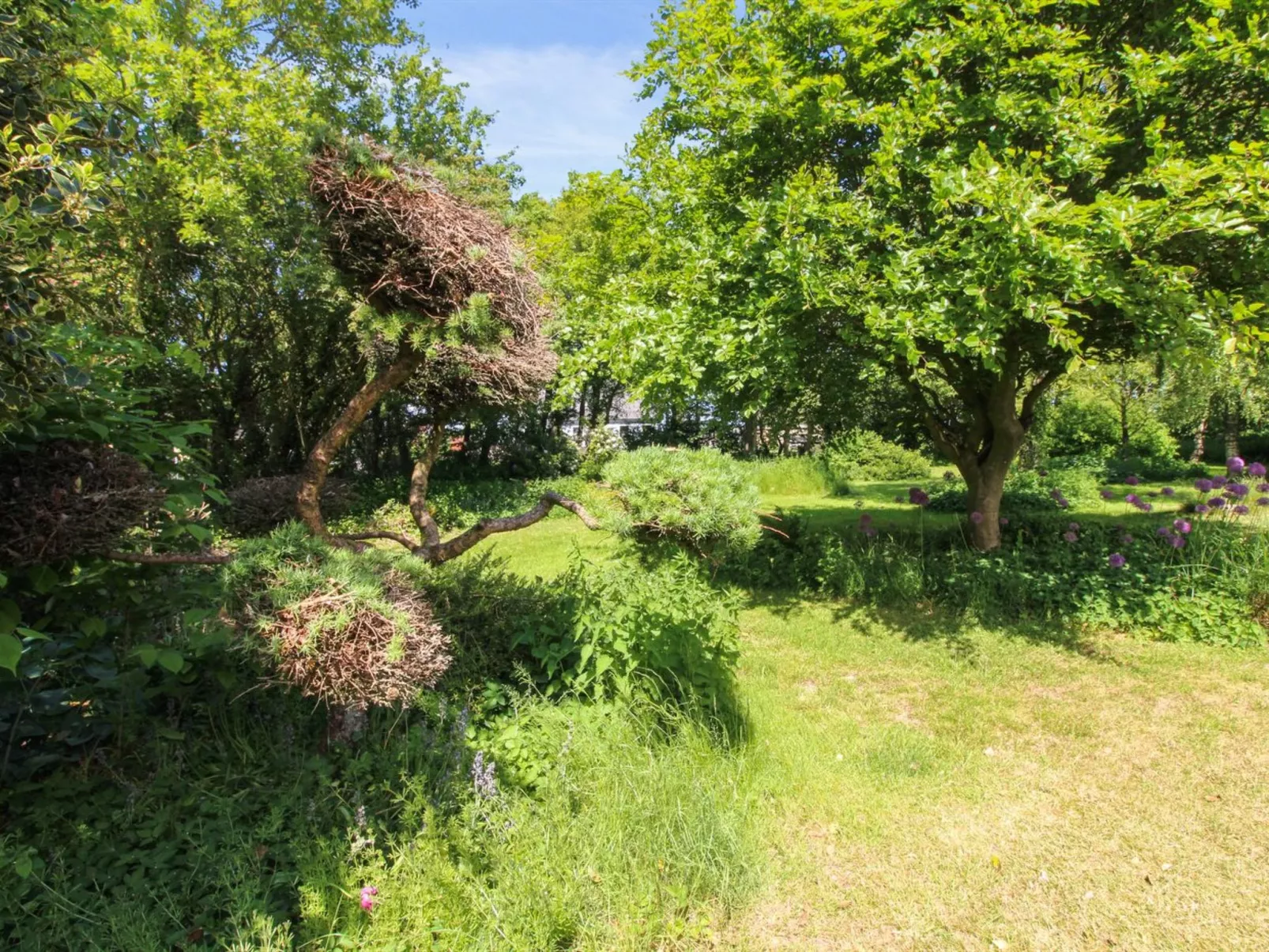 "Lokke" - 19km from the sea-Outside