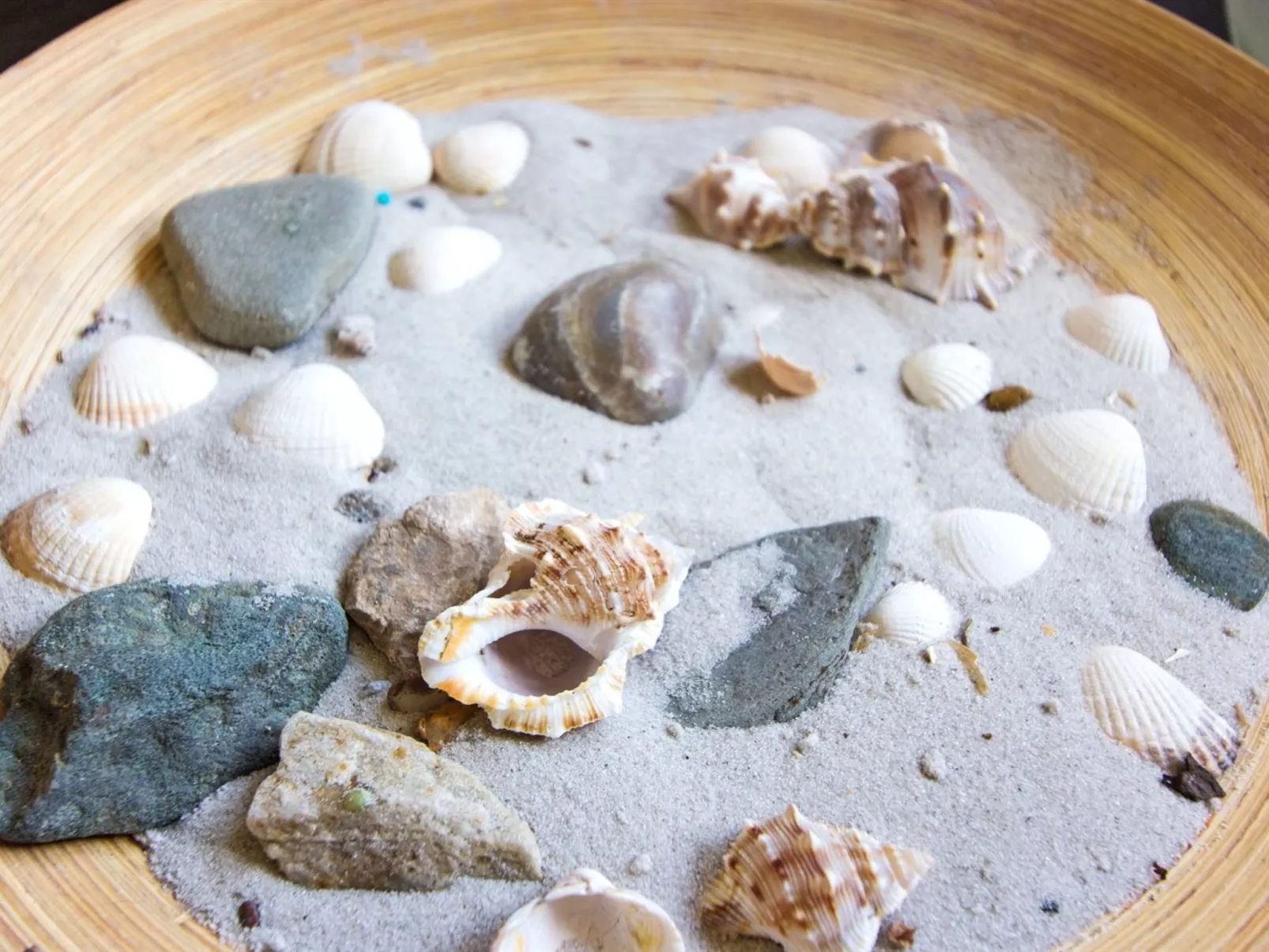 "Loke" - 300m from the sea-Drinnen