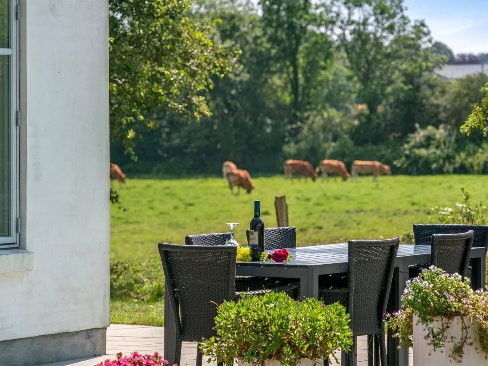 "Jeppe" - 50m to the fjord-Inside