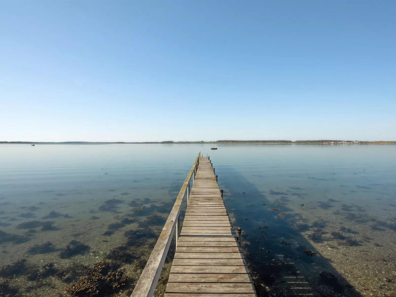 "Ermelinda" - 900m to the fjord-Draußen