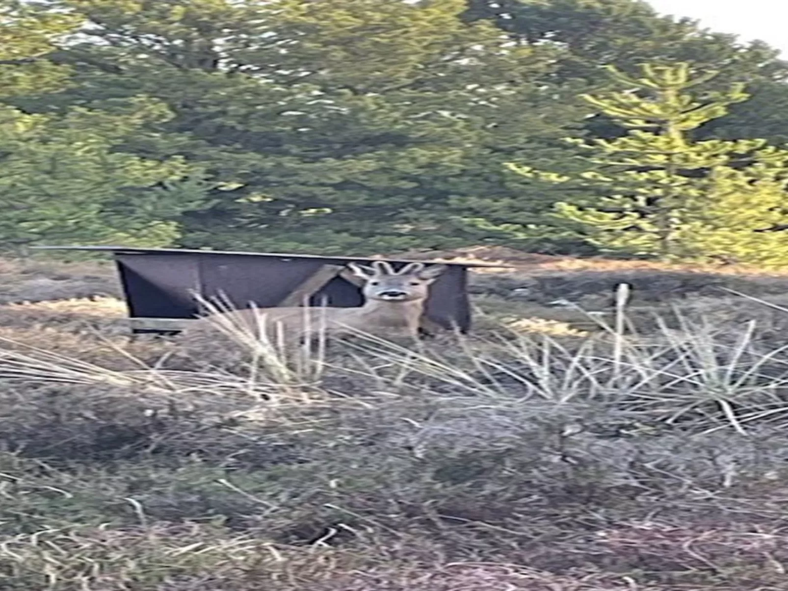 "Artan" - 2.6km from the sea-Drinnen