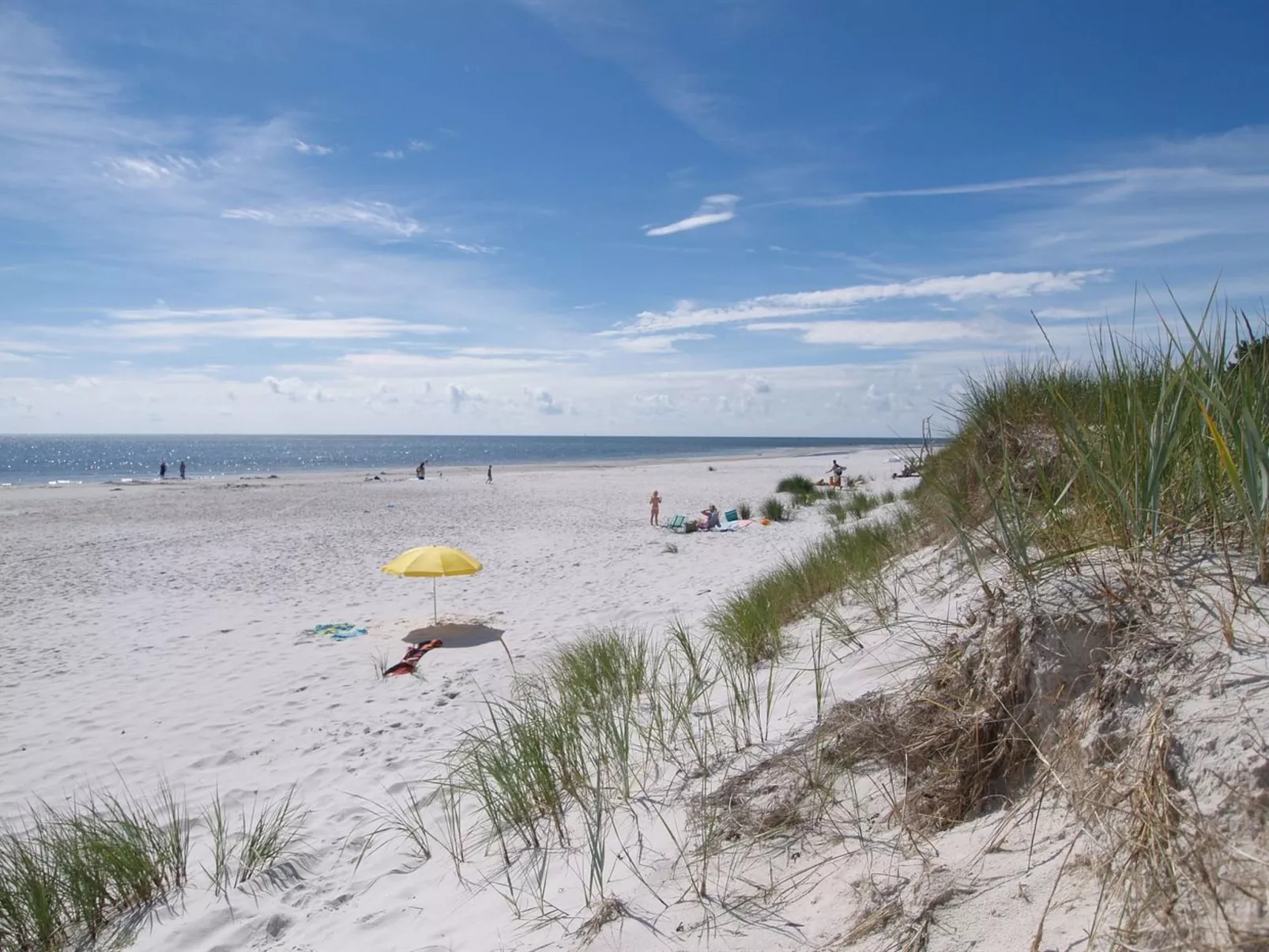 "Tom" - 125m from the sea-Outside