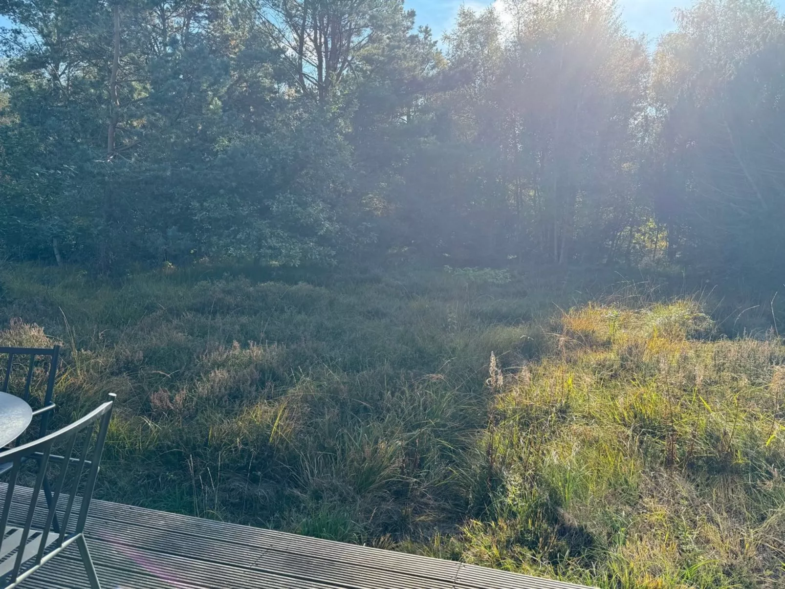 "Felia" - 500m from the sea-Dehors