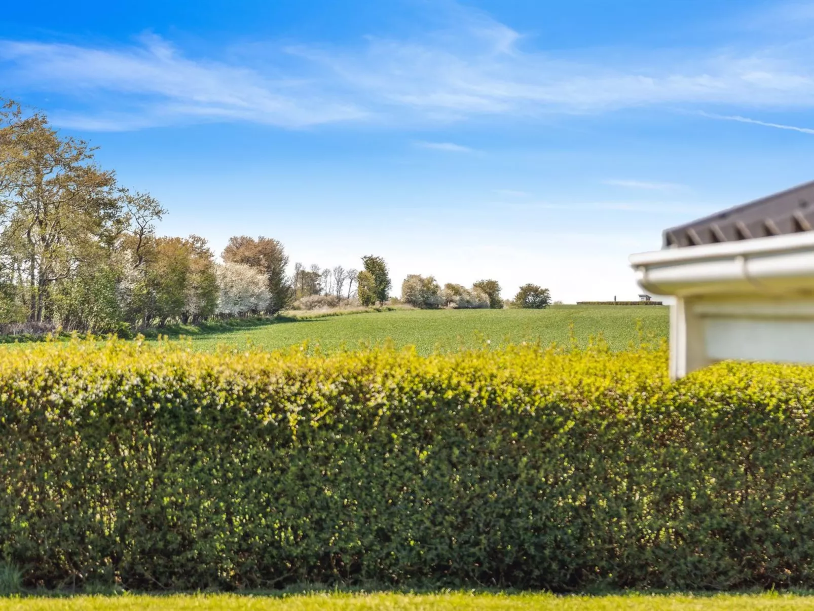 "Evamaria" - 350m from the sea-Dehors