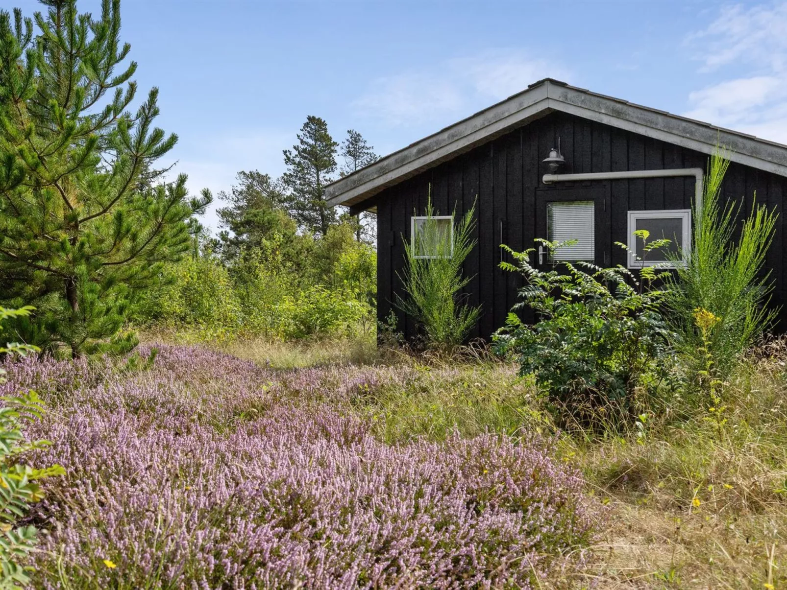 "Asmo" - 350m from the sea-Outside