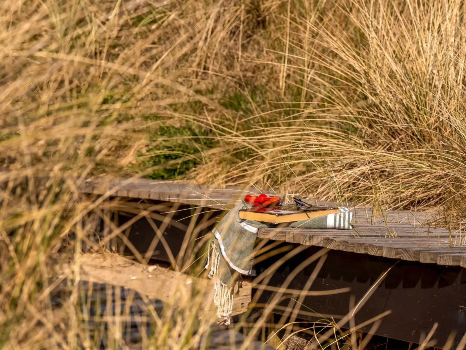 "Ginne" - 125m from the sea-Draußen