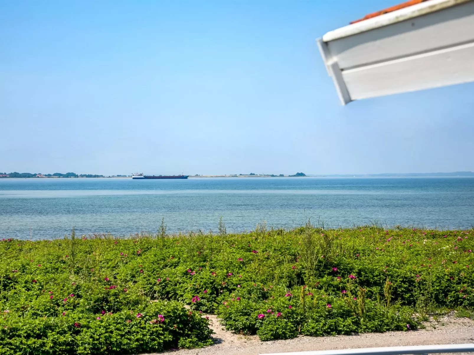 "Arnwith" - 20m from the sea-Outside