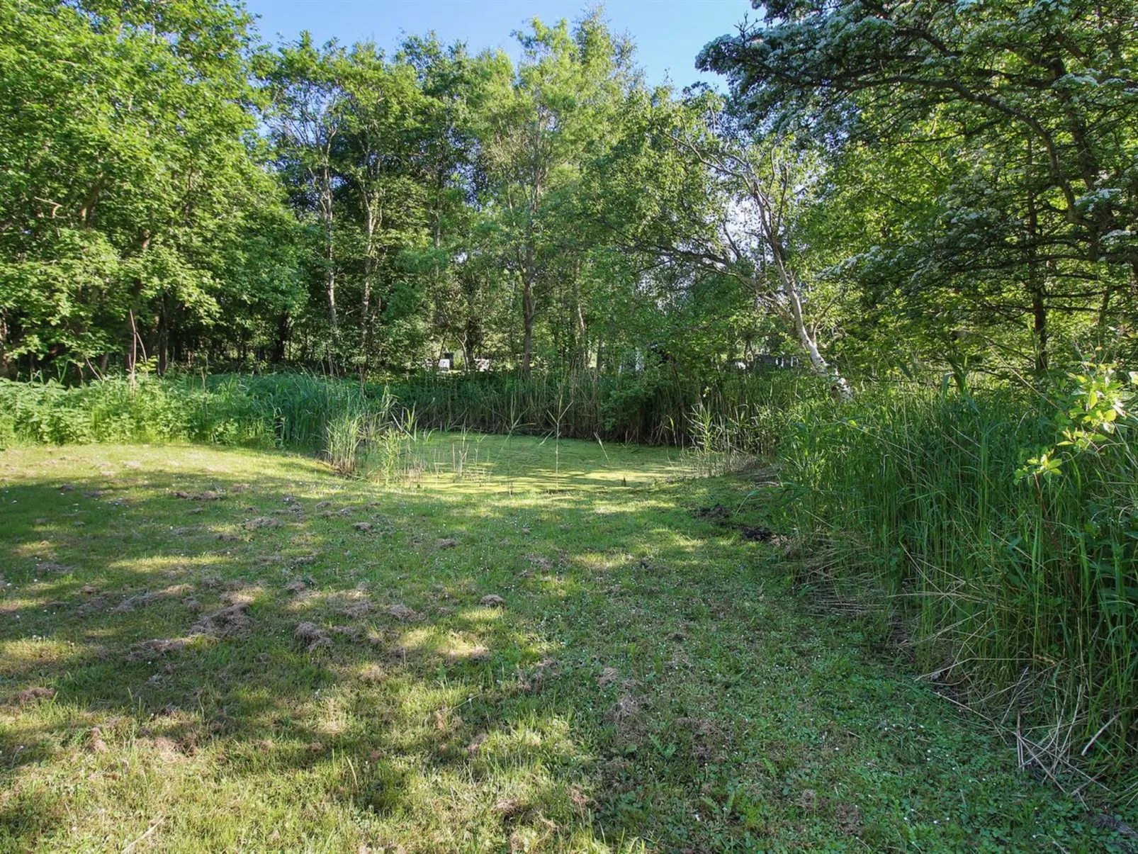 "Virve" - 300m from the sea-Draußen