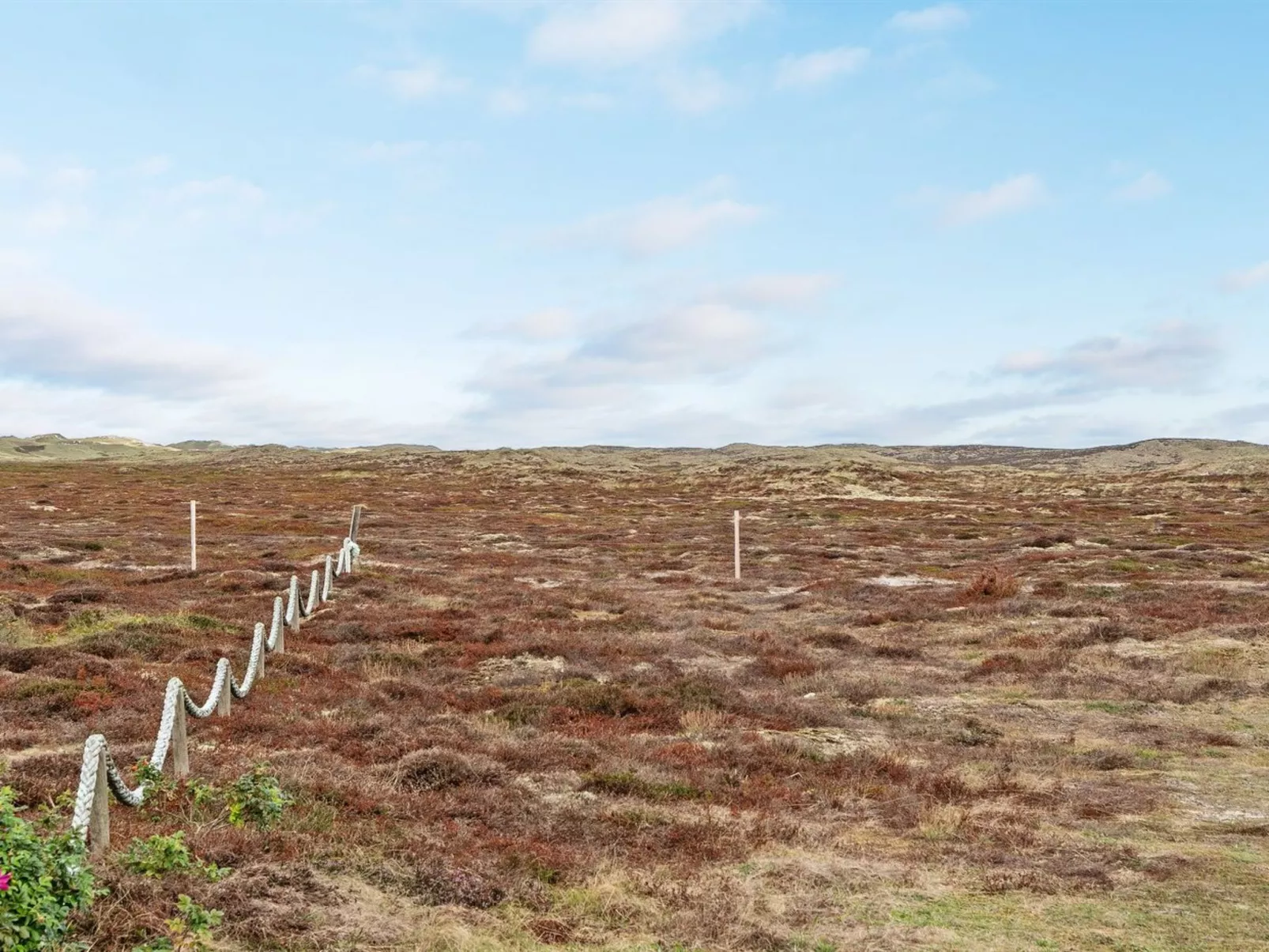 "Thrugot" -  from the sea-Dehors