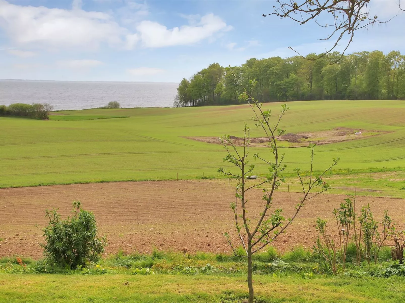 "Hoimar" - 400m from the sea-Draußen