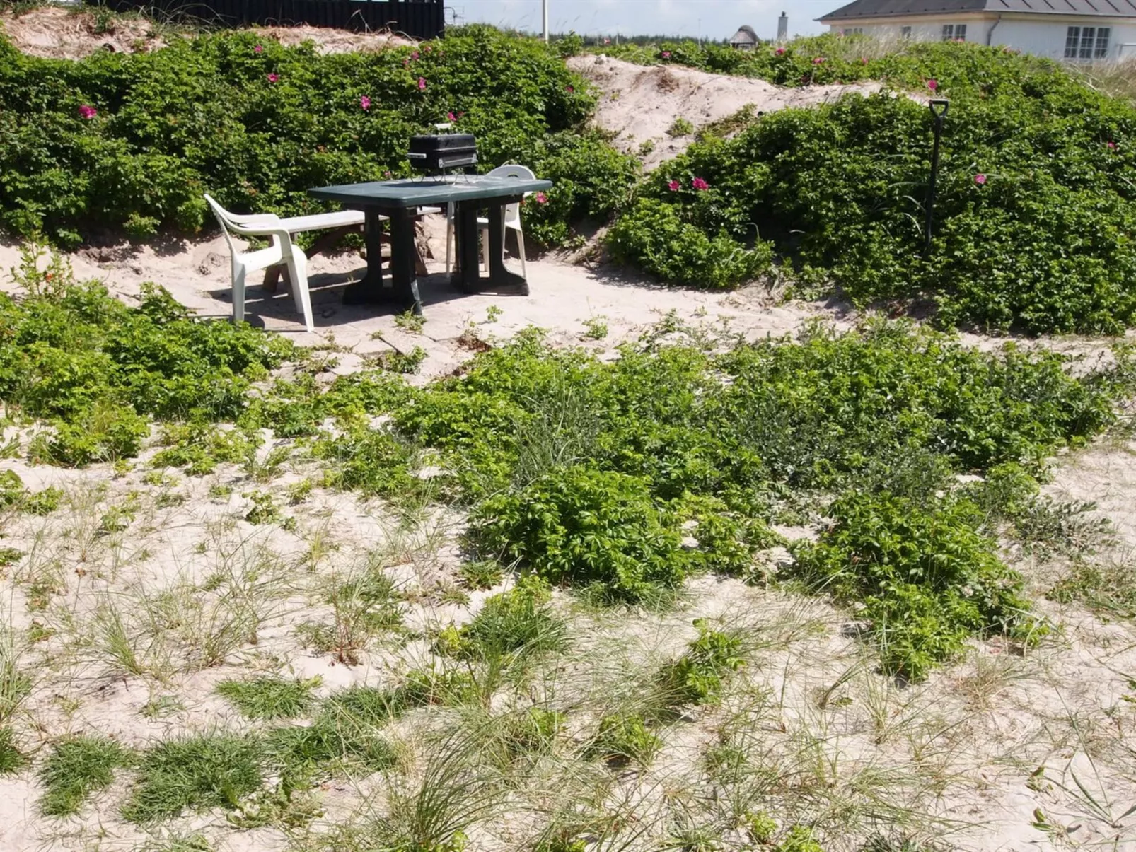 "Analia" -  from the sea-Outside