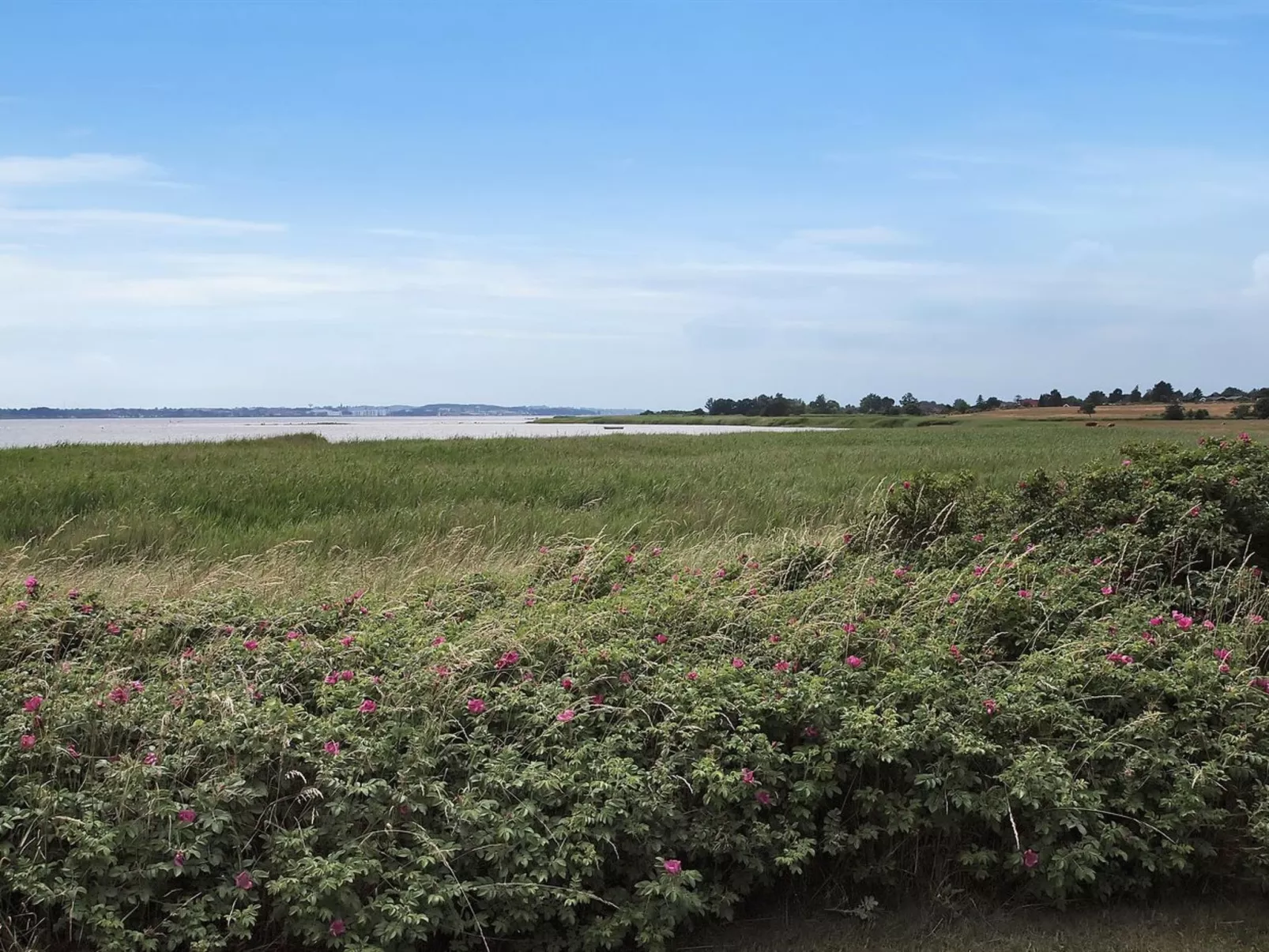 "Jeip" - 400m to the fjord-Dehors