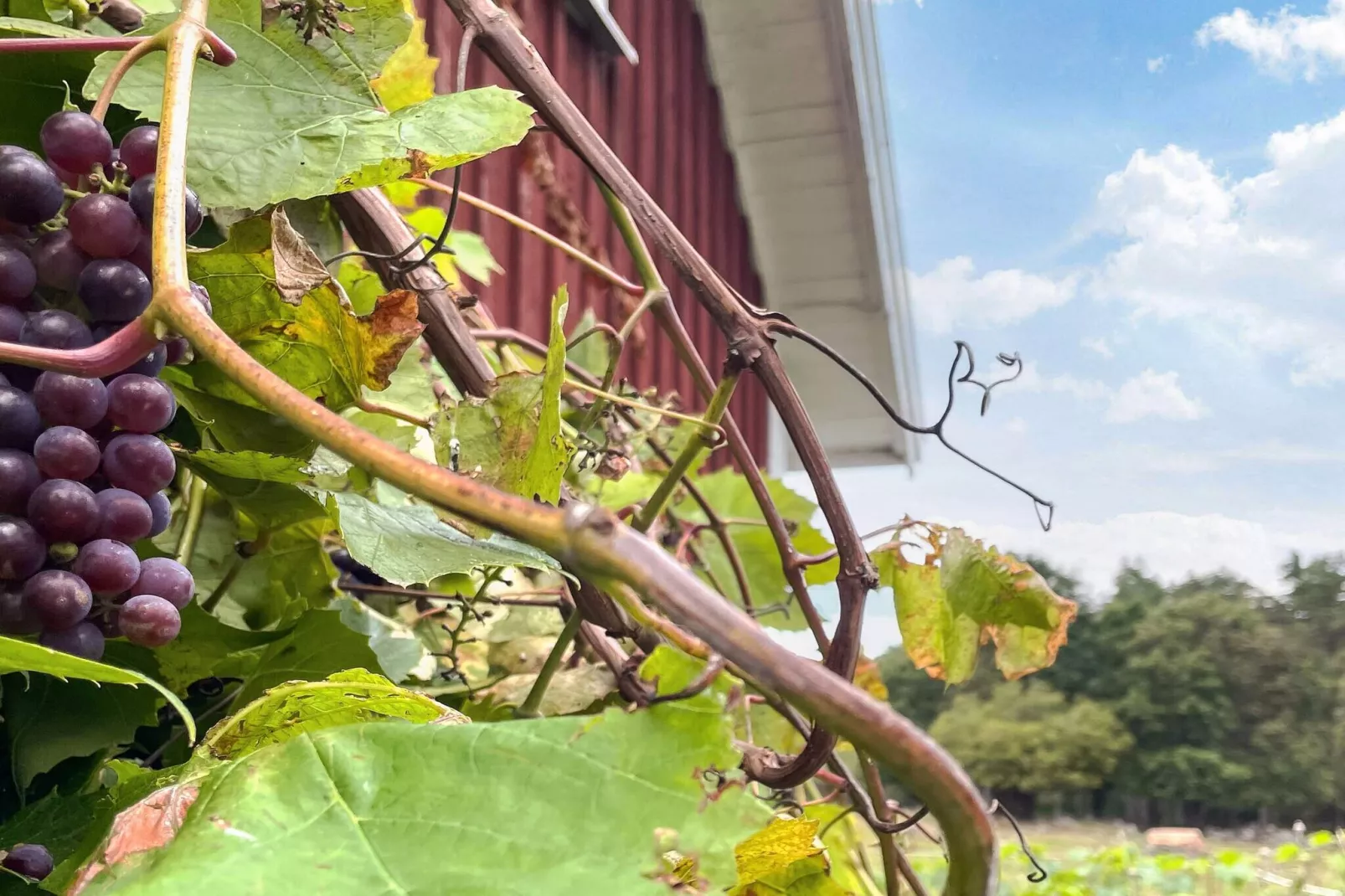 3 person holiday home in Berga-By Traum-Outdoor