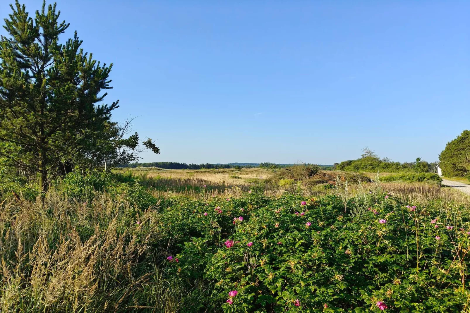 Maison de vacances pour 6 a Pandrup-By Traum-Non tagué