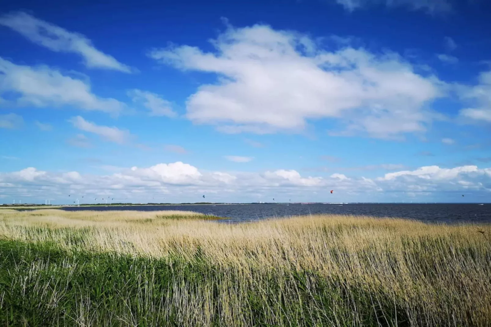 Maison de vacances pour 4 a Ringkøbing-By Traum-Vue sur l'eau