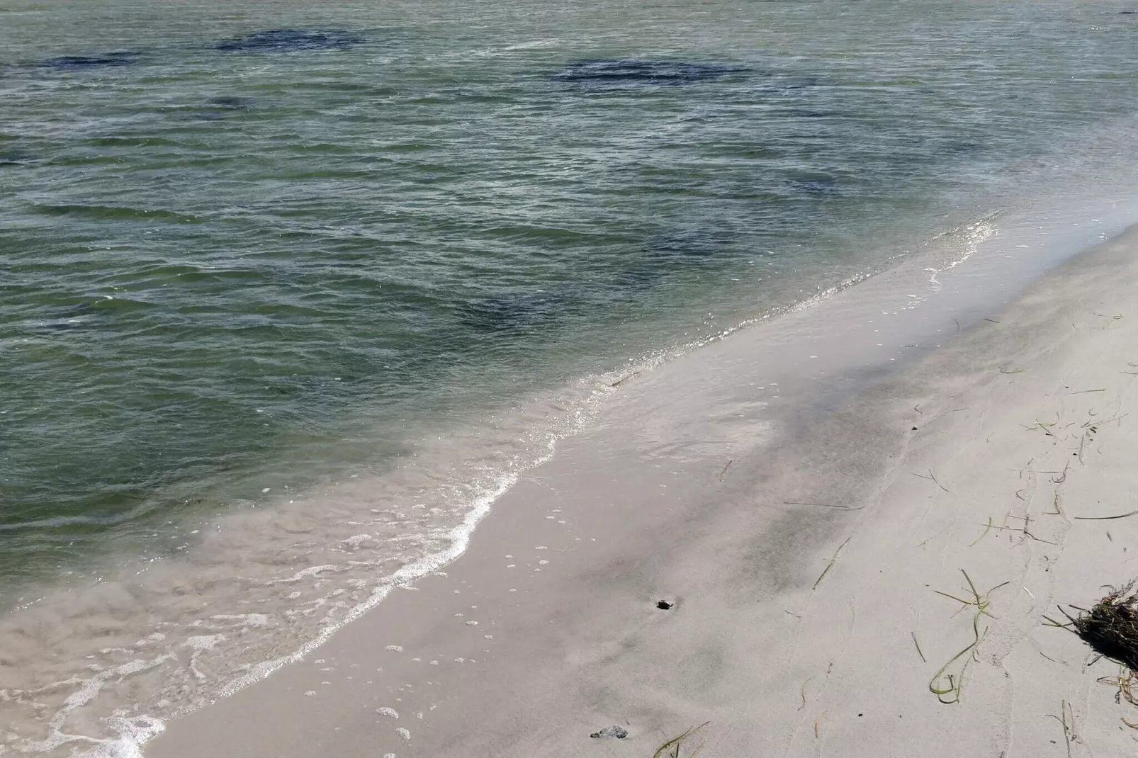 Maison de vacances pour 3 a HUNVIGAN-By Traum-Vue sur l'eau