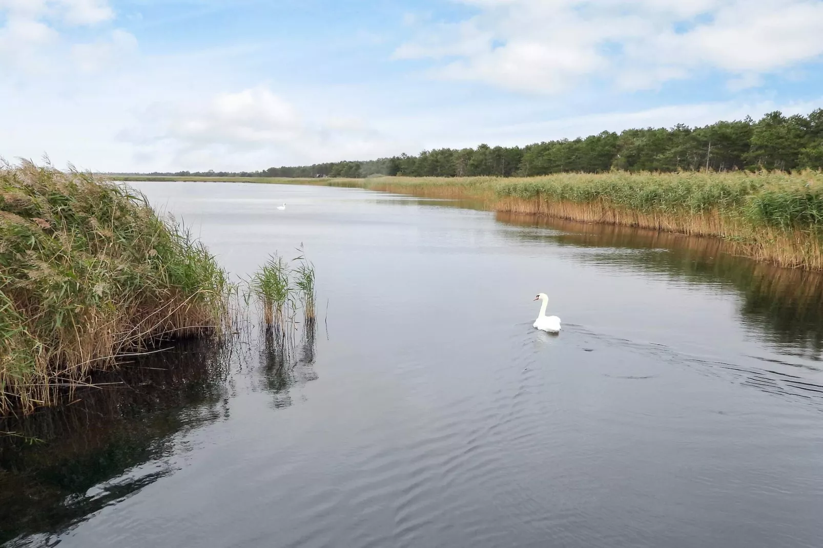 5 Sterne Ferienhaus in Vig-By Traum-Wasserblick