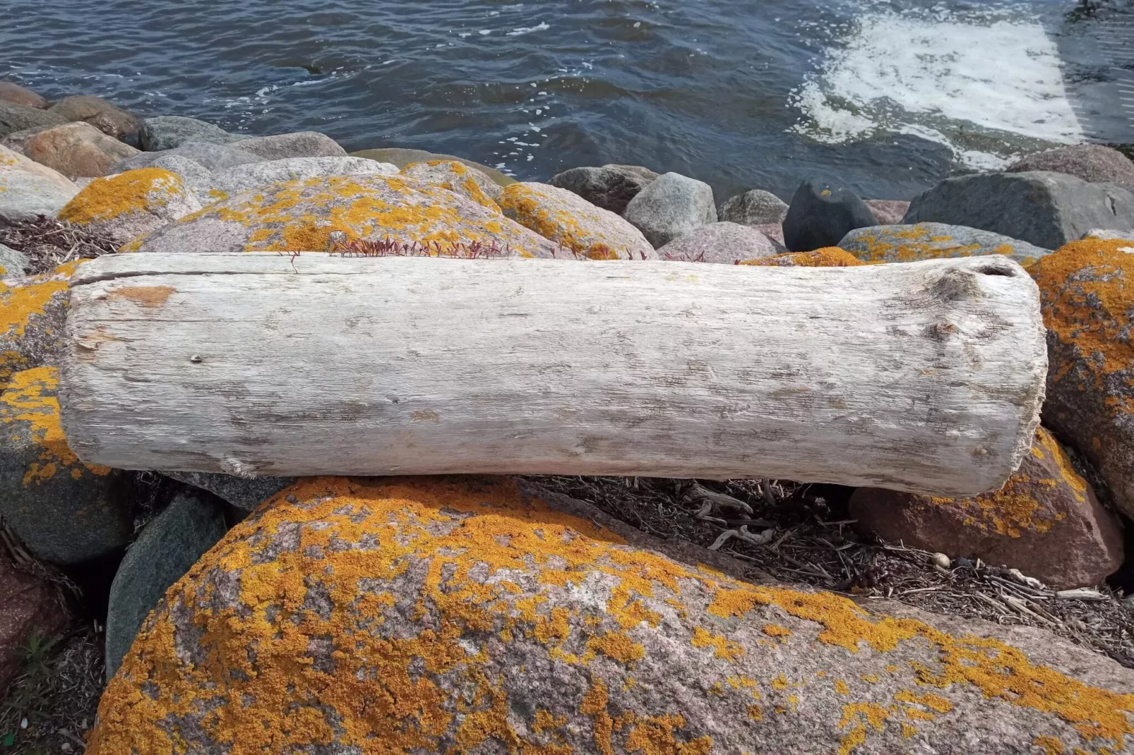 Maison de vacances pour 6 a Rødvig Stevns-By Traum-Vue sur l'eau
