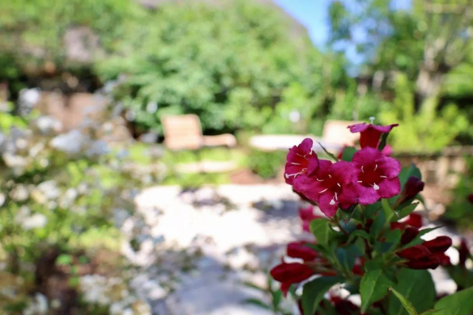Kapteins Hüüs - ganzes Haus-Living room