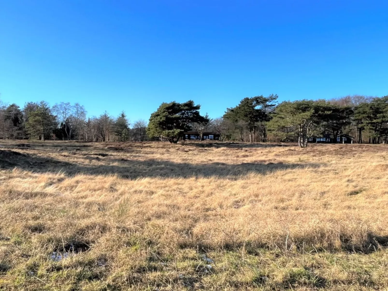 "Toska" - 100m to the fjord-Draußen