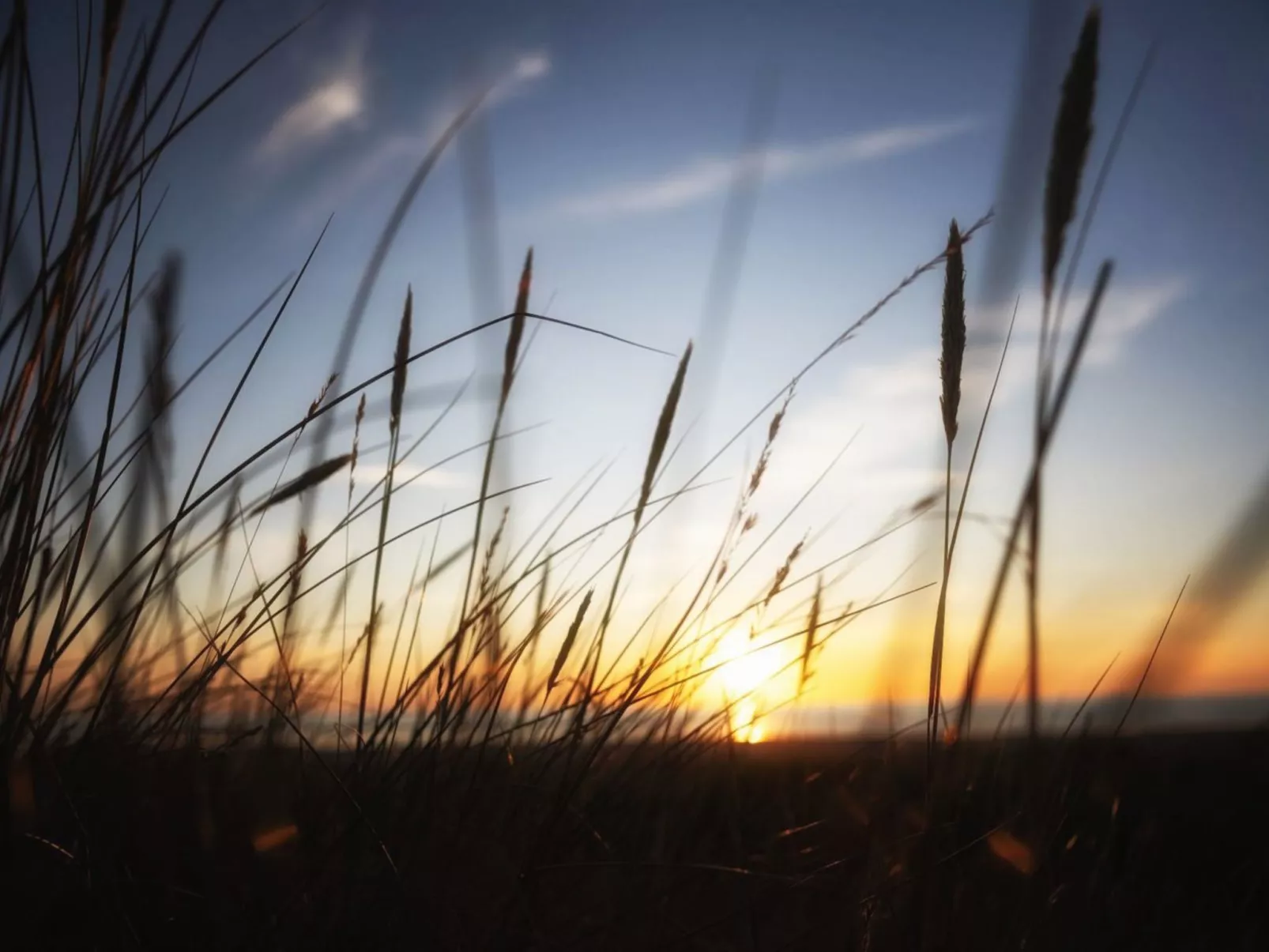 "Blakke" - 200m from the sea-Draußen