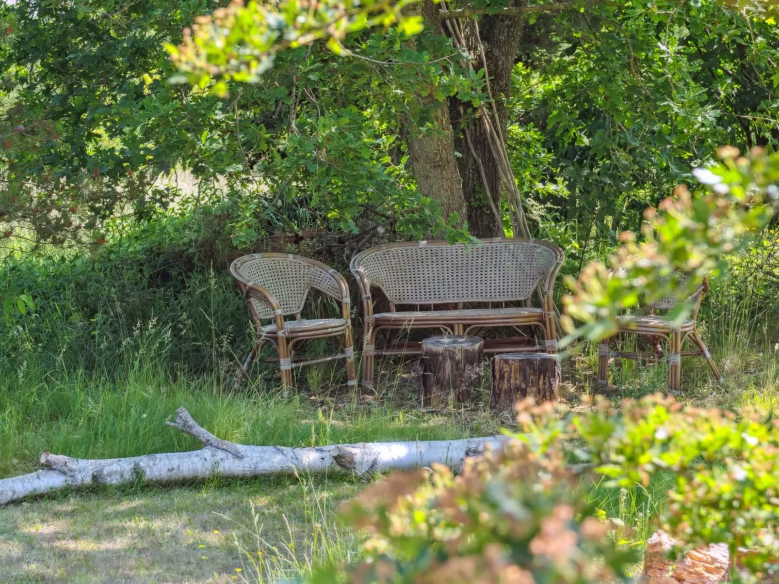 "Nadia" - 300m to the fjord-Outside