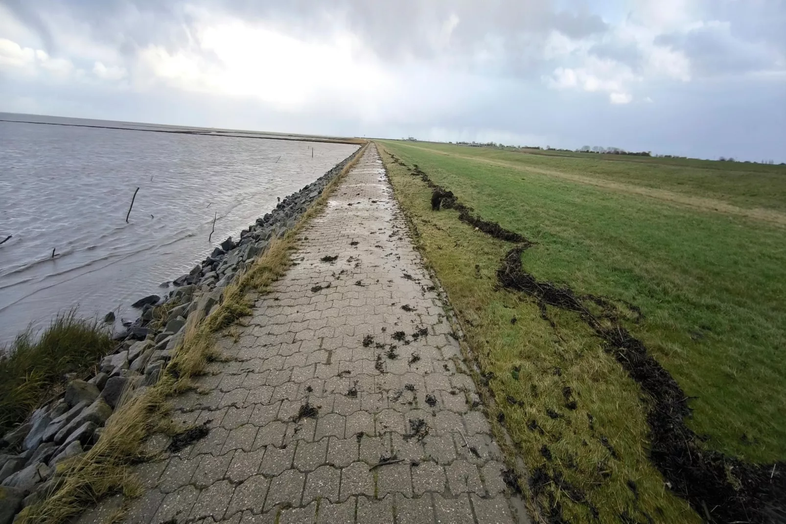 Ferienhaus Seeschwalbe-Areas within 5km in summer