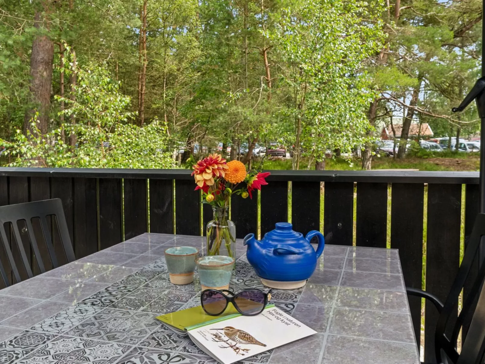 "Reinke" - 450m from the sea-Draußen