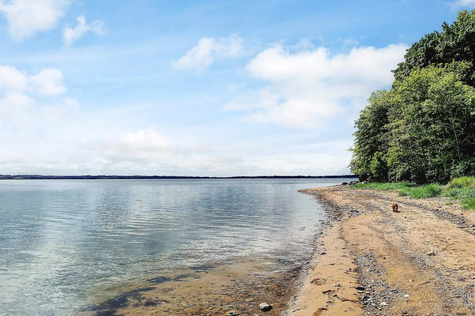 5 Sterne Ferienhaus in Farsø-By Traum-Wasserblick