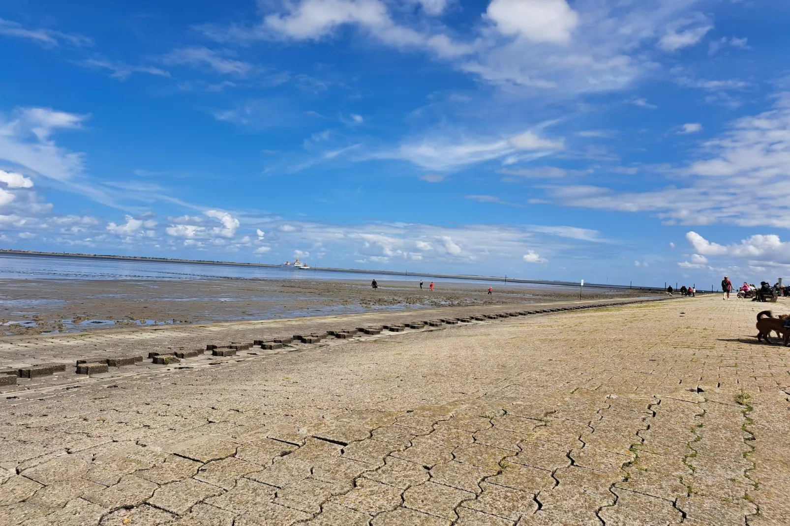 Doppelhaushälfte Nordseerose 125-Areas within 5km in summer