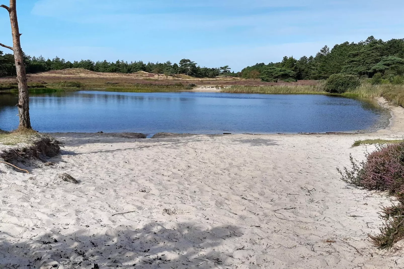 5 Sterne Ferienhaus in Rømø-Wasserblick