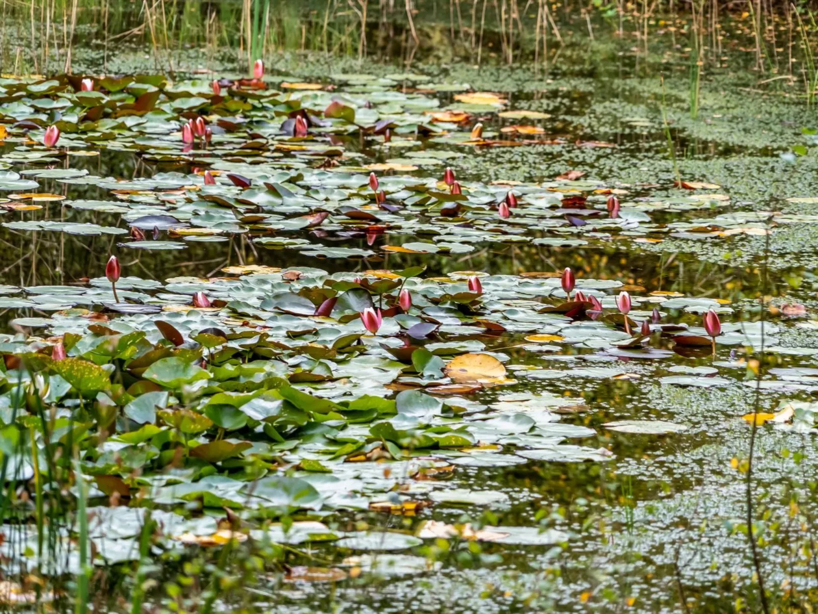 "Vicente" - 14km to the fjord-Outside