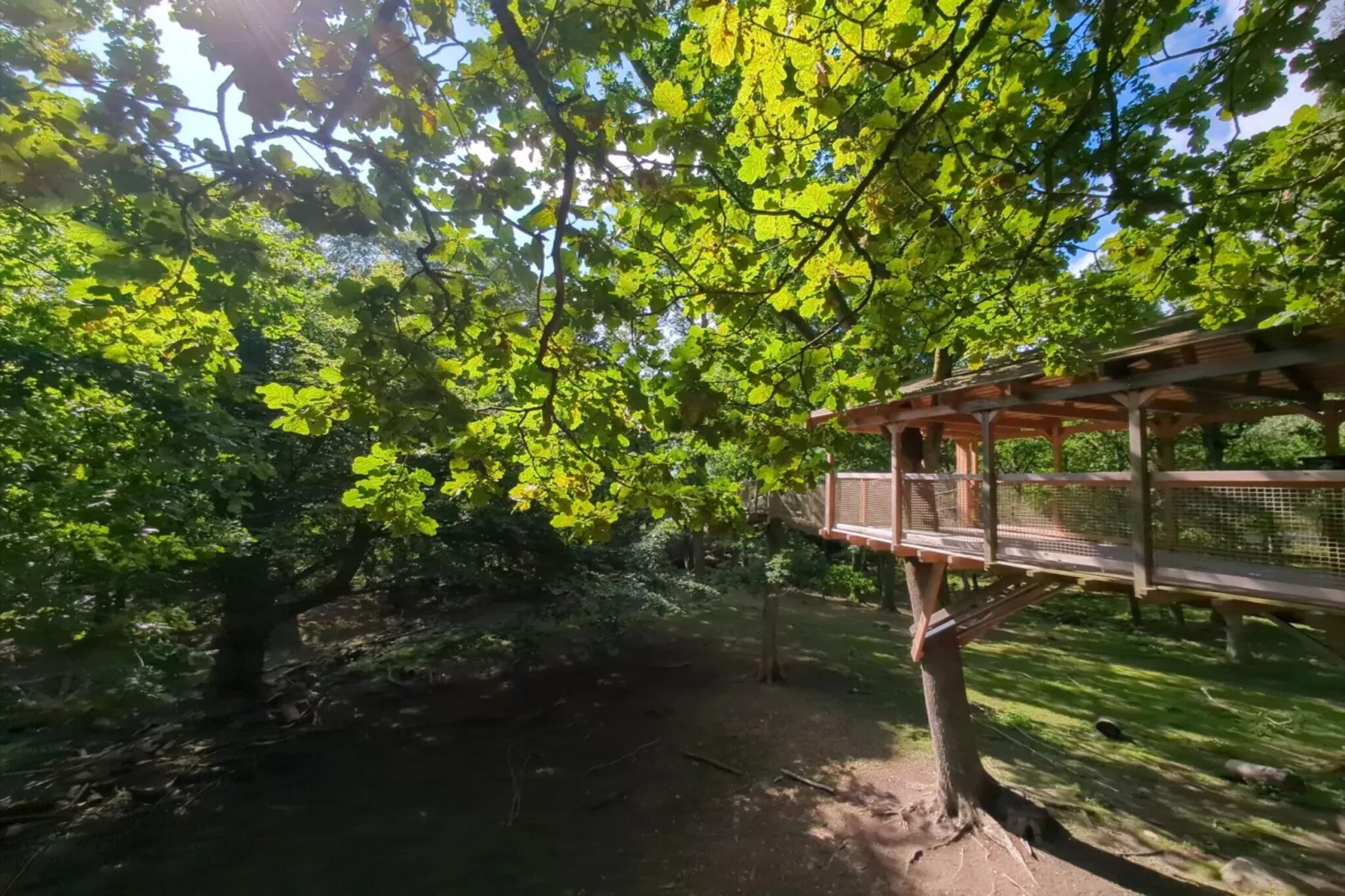 4 person holiday home in Hoor-Untagged