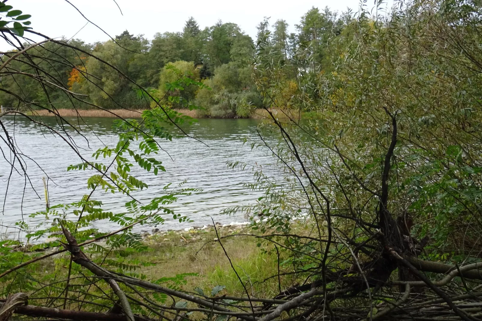 Luxus Appartement / 4 Personen-Gebiete Sommer 5 km