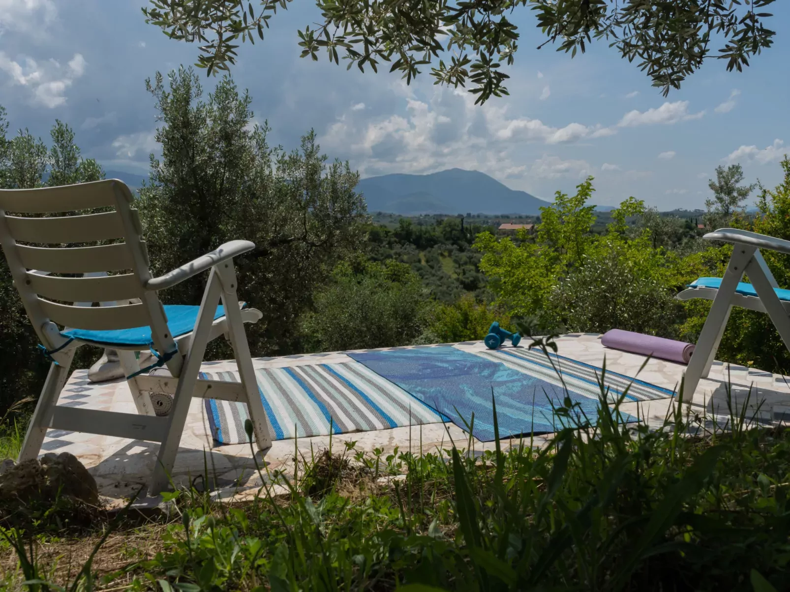 Olive Grove Sabina-Outside