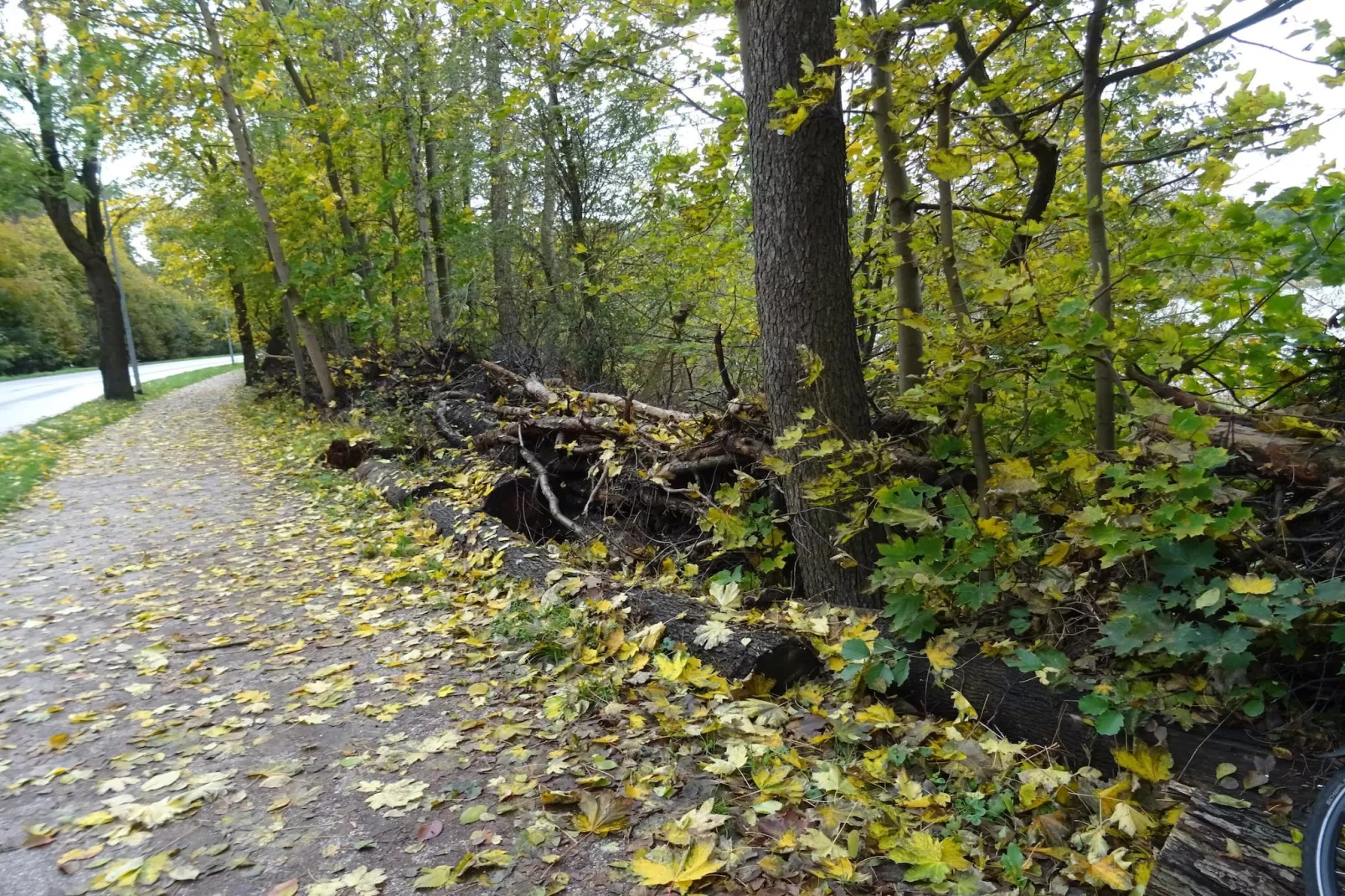 Luxus-Familienappartement / 5 Personen - Gebiete Sommer 5 km