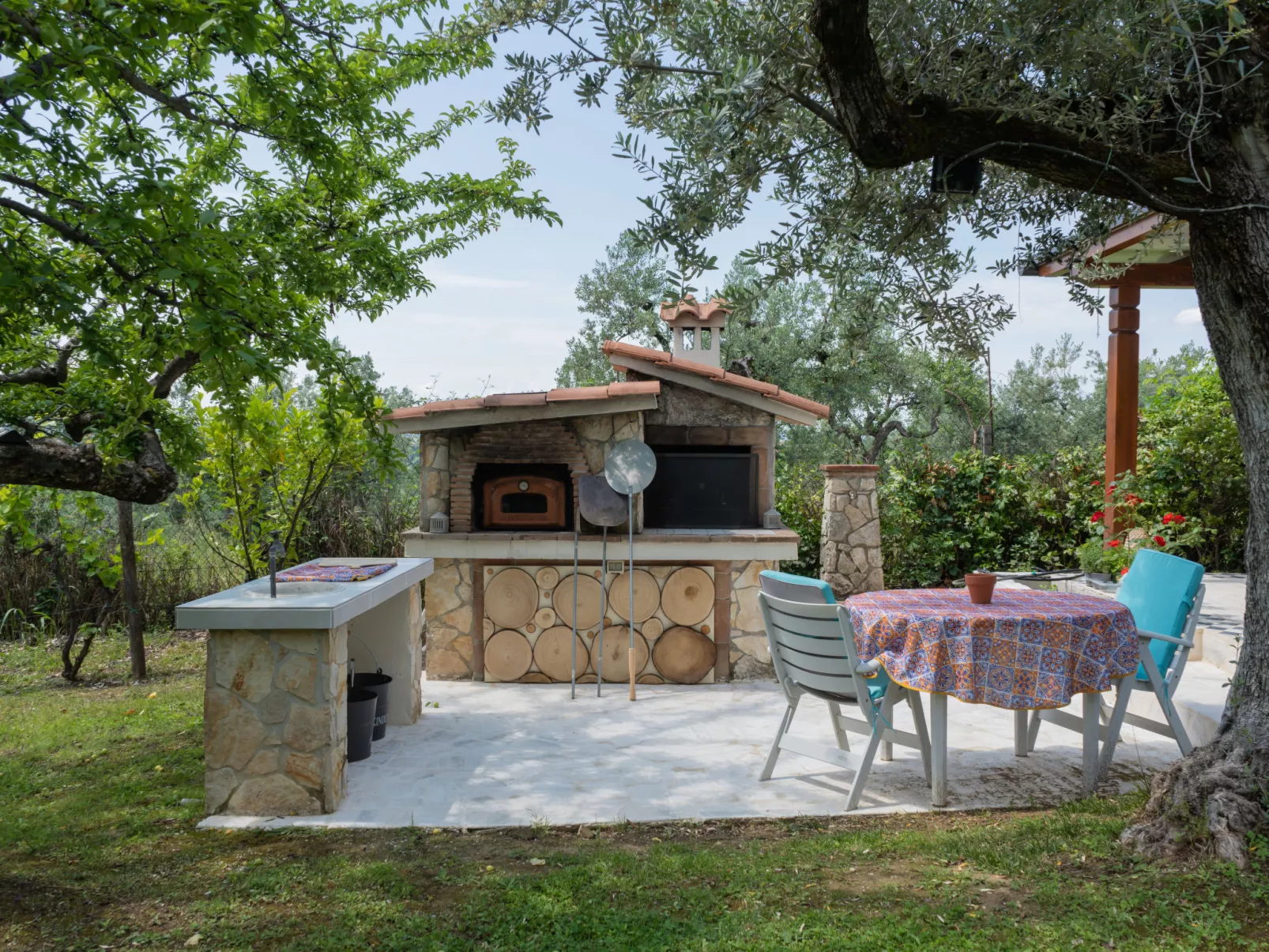 Olive Grove Sabina-Outside