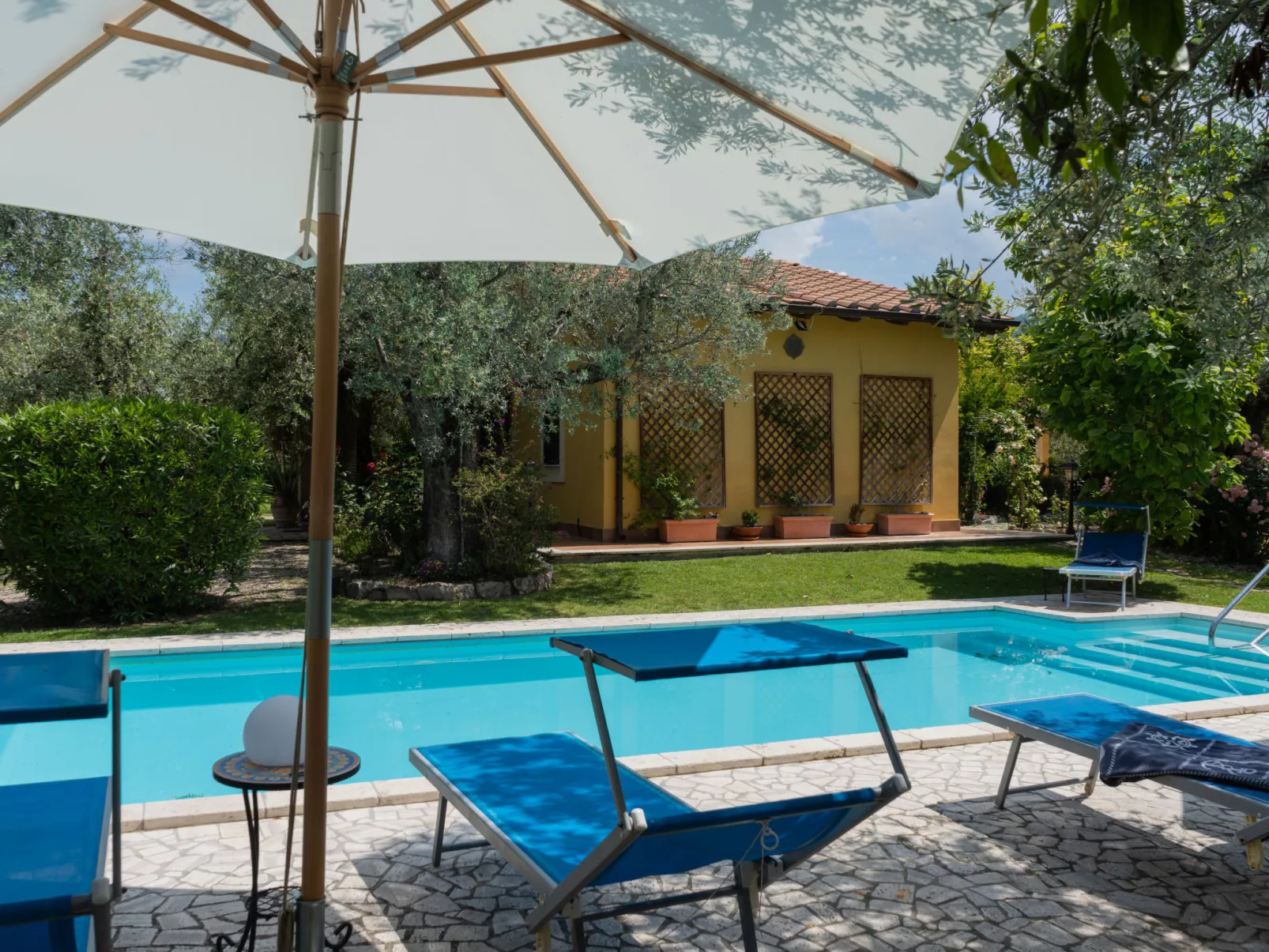 Olive Grove Sabina-Outside