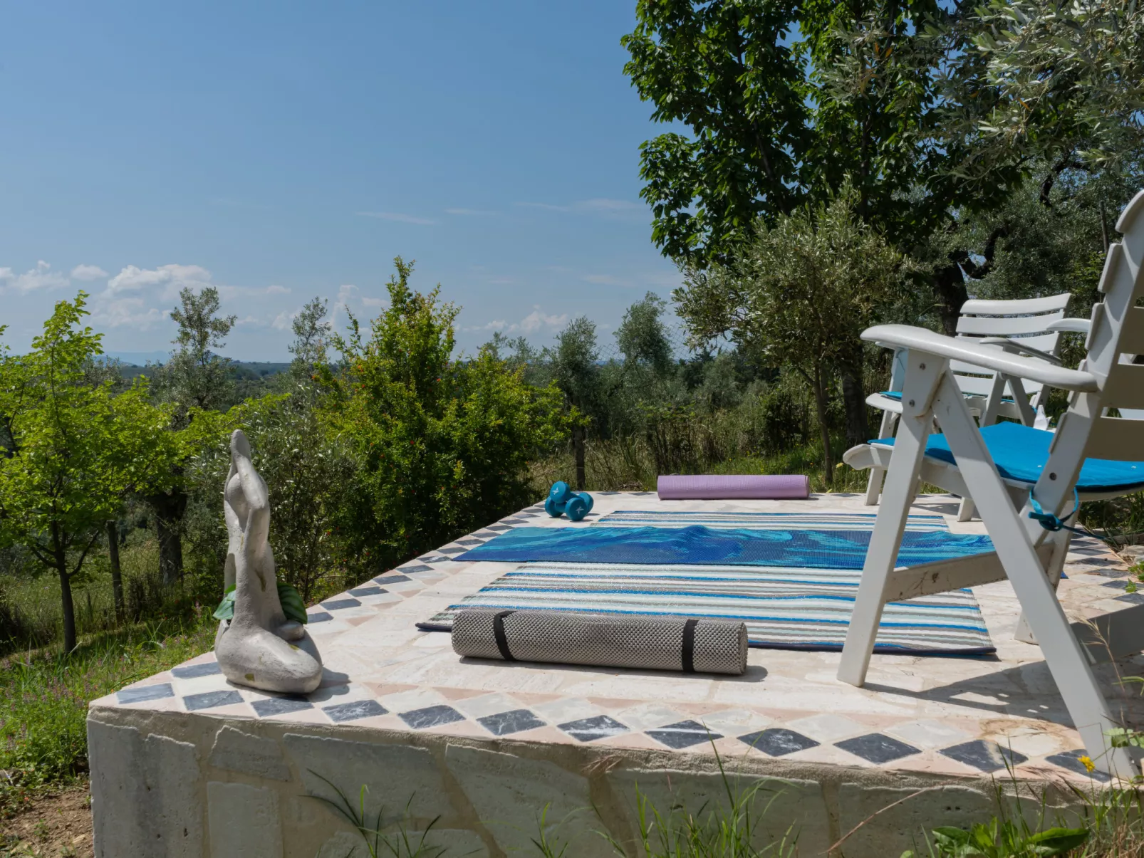 Olive Grove Sabina-Outside