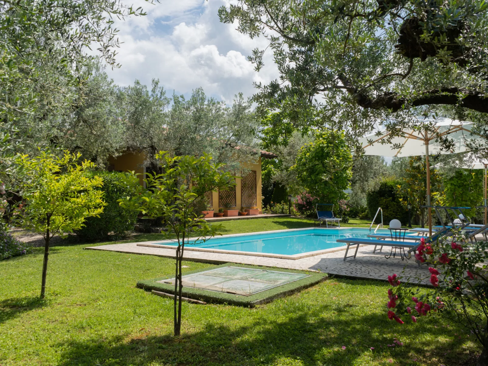 Olive Grove Sabina-Outside