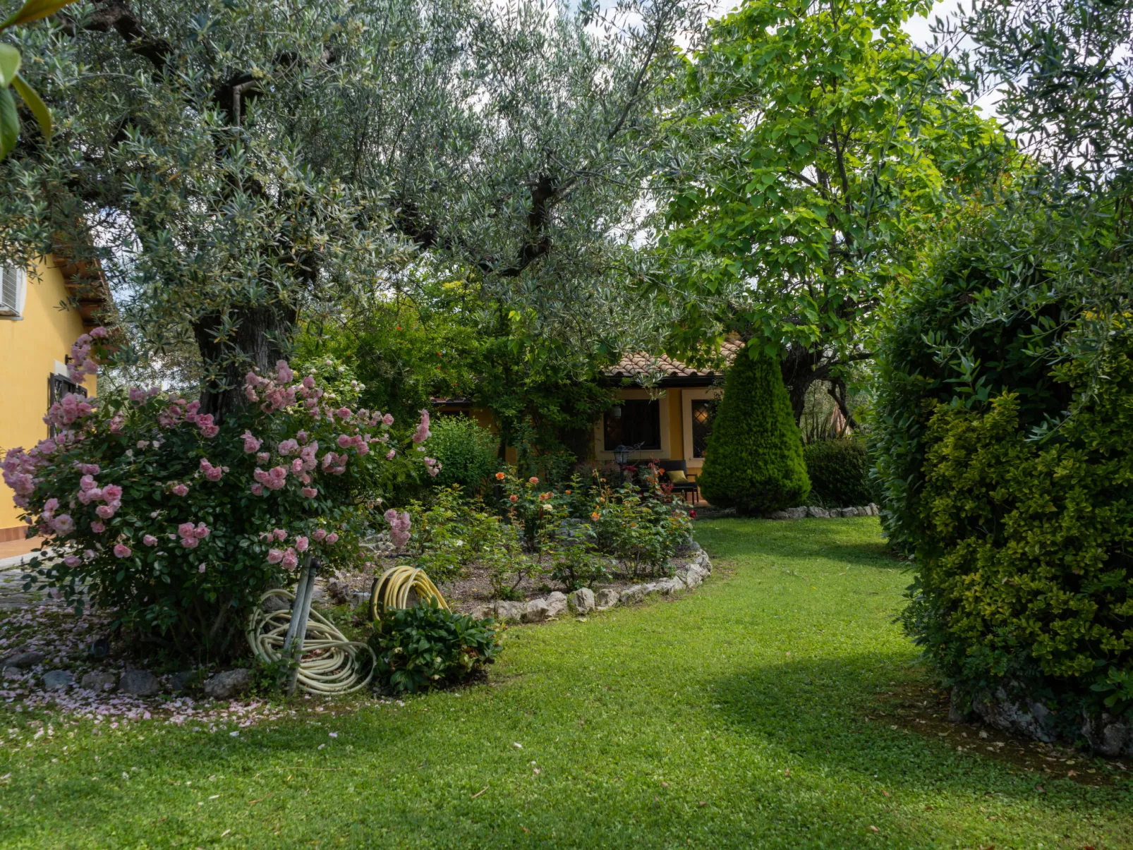 Olive Grove Sabina-Outside