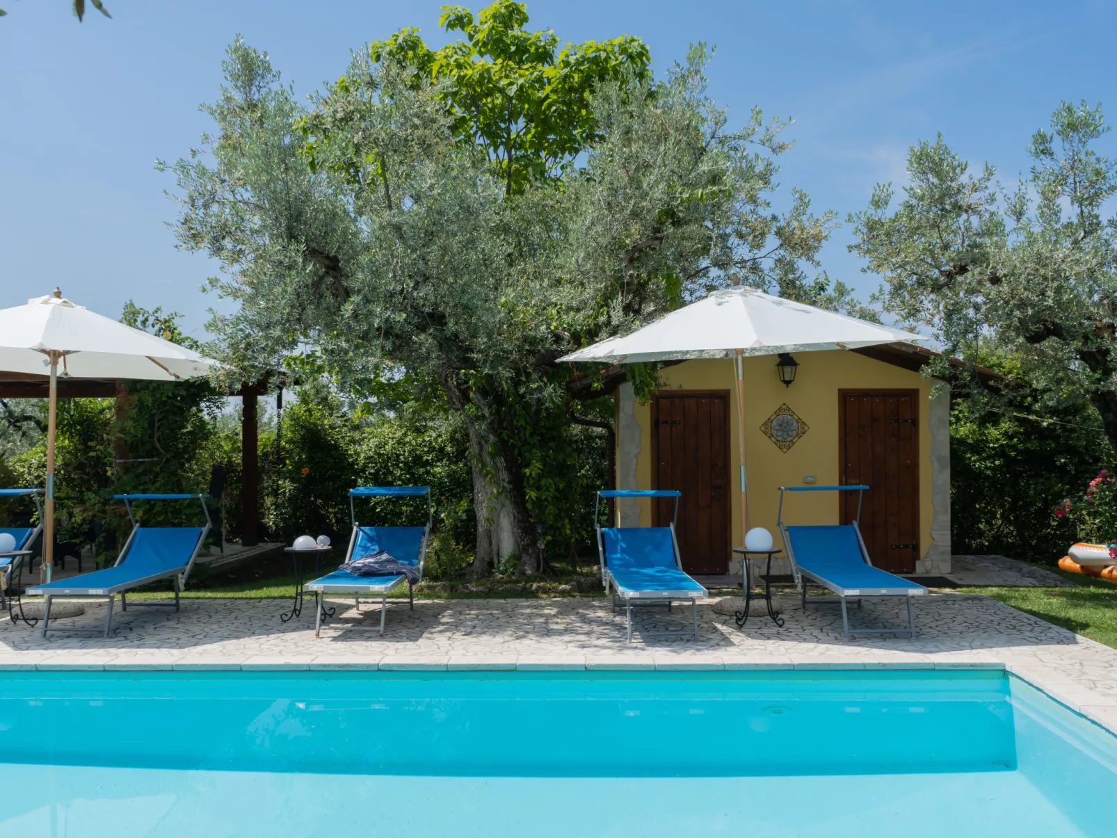 Olive Grove Sabina-Outside