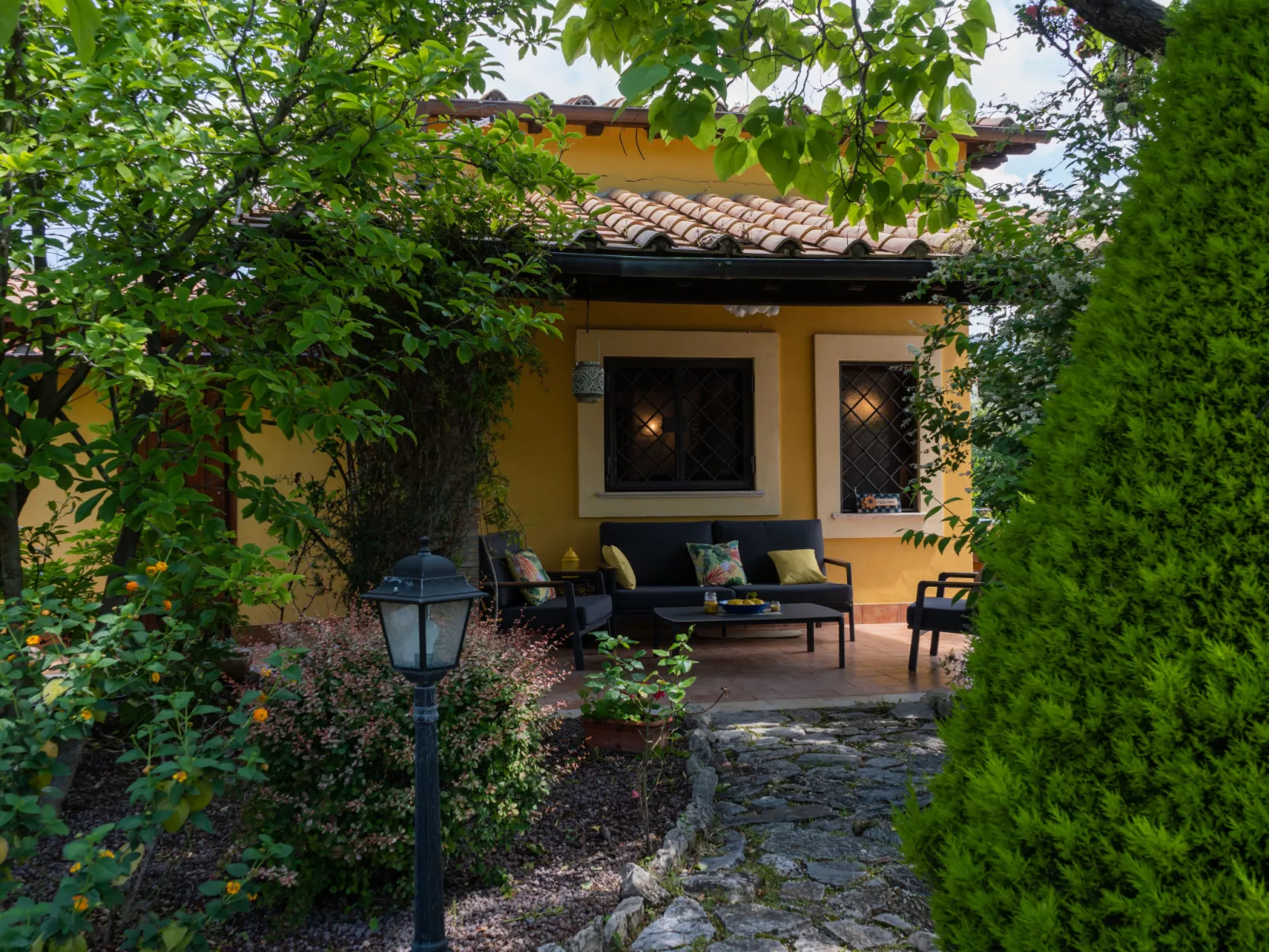 Olive Grove Sabina-Outside