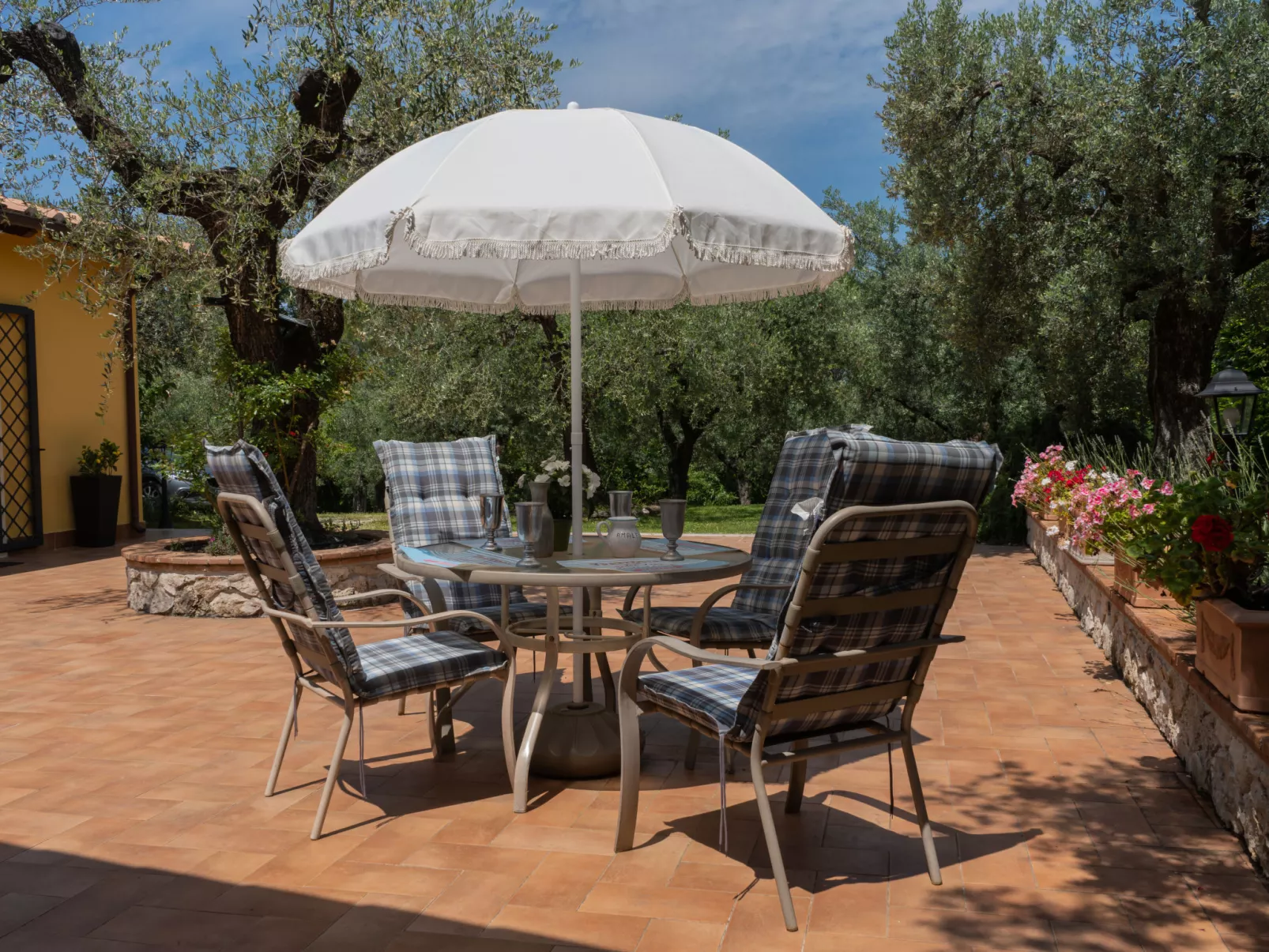 Olive Grove Sabina-Outside