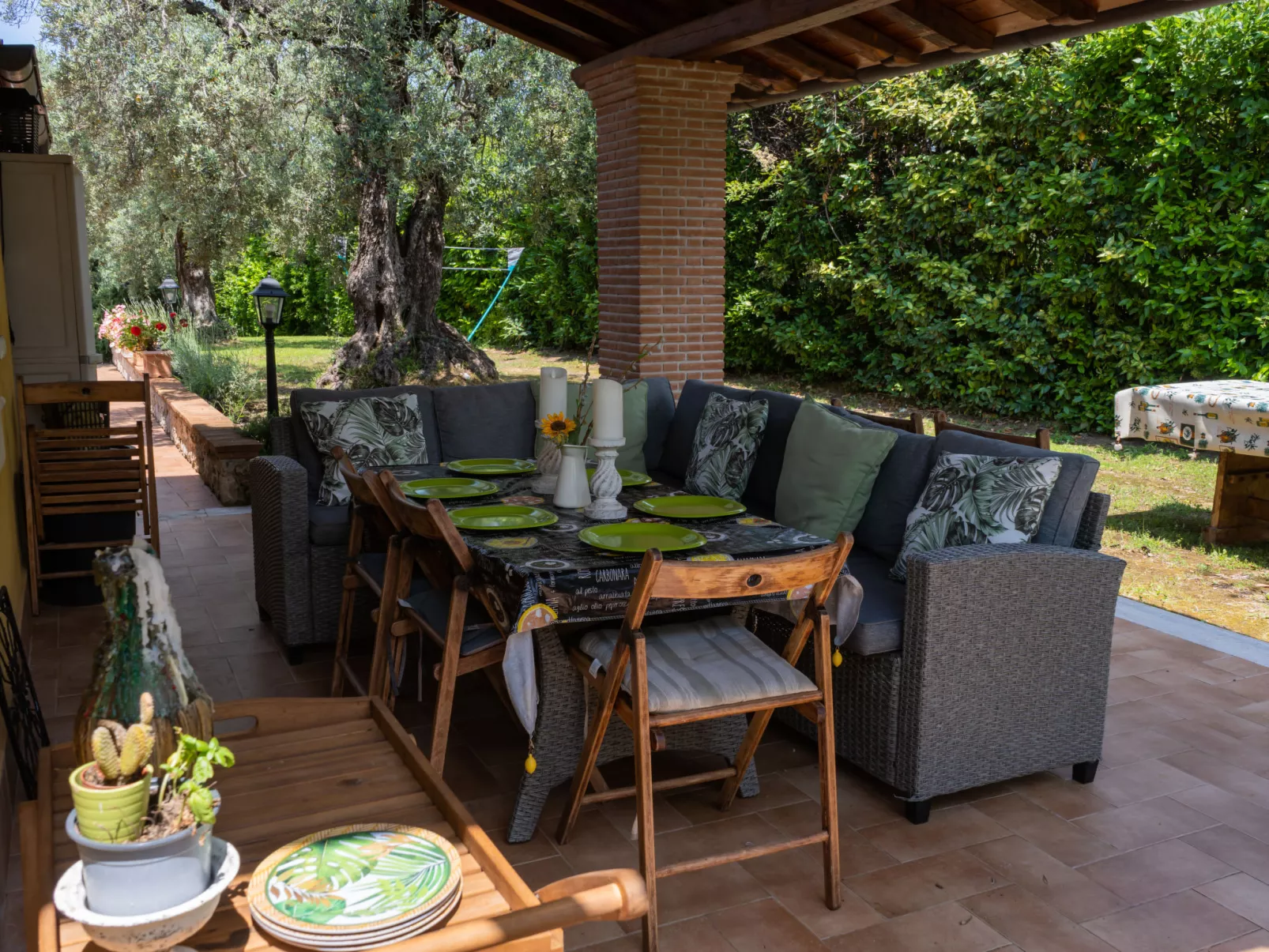 Olive Grove Sabina-Outside