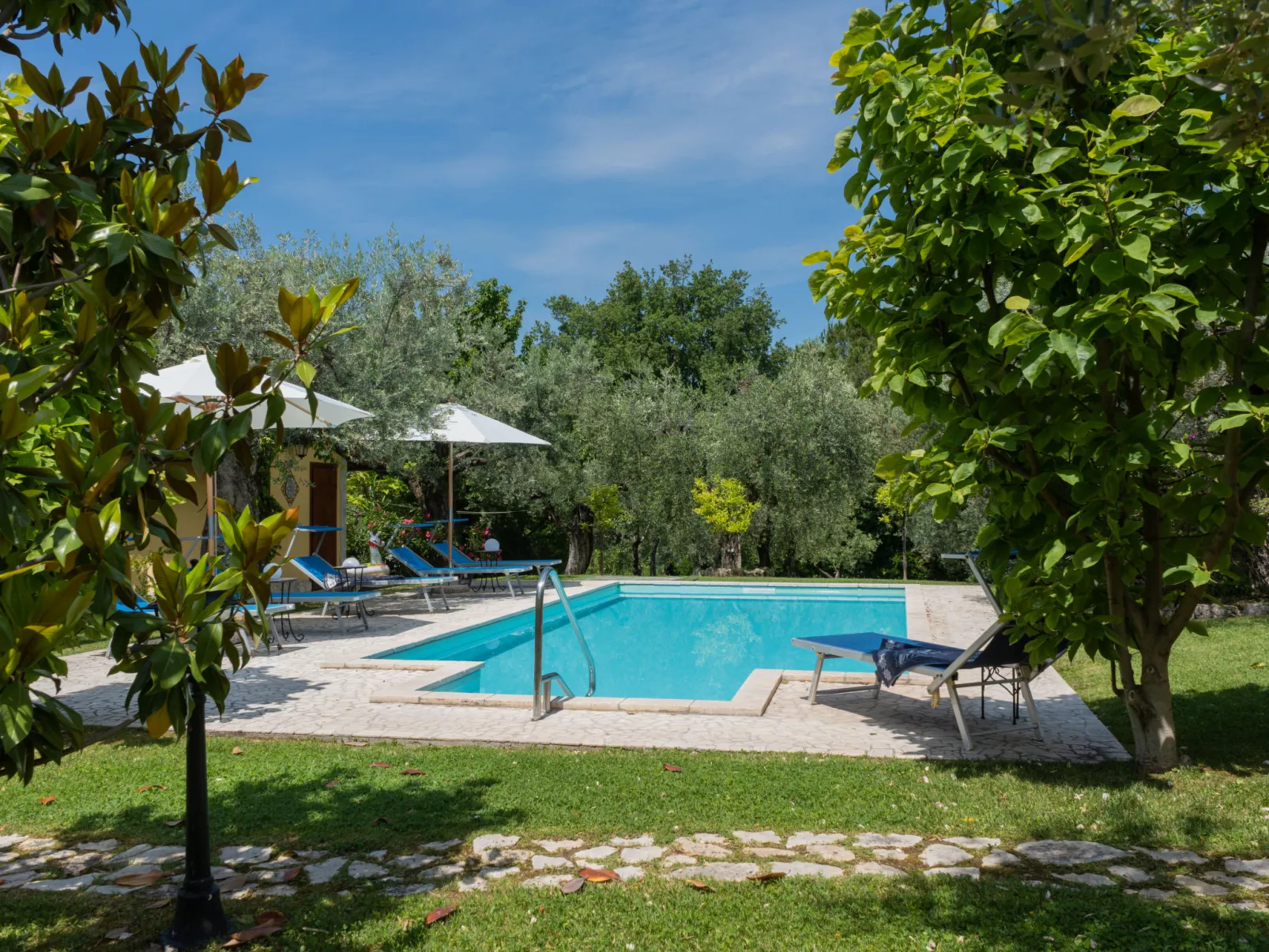 Olive Grove Sabina-Outside