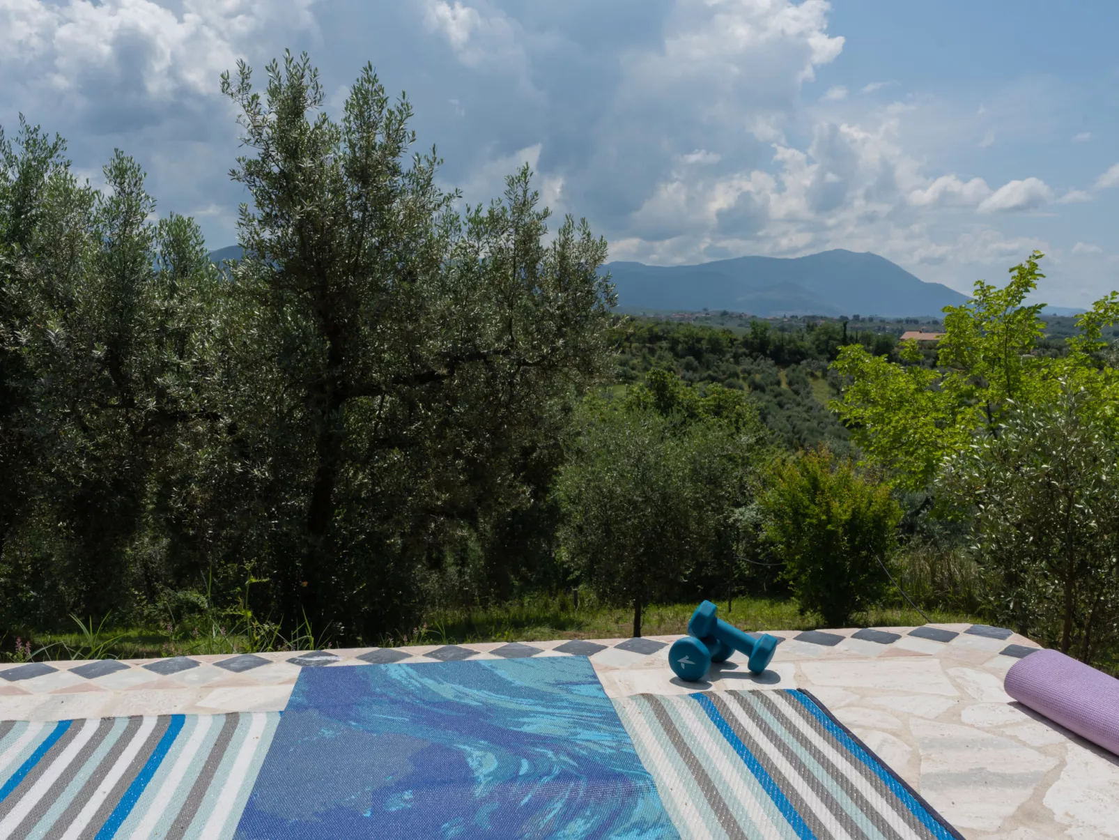 Olive Grove Sabina-Outside